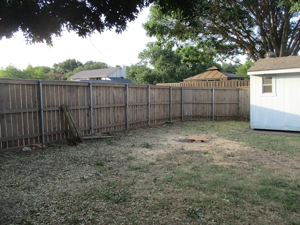 Cleared yard after professional tree removal in Lake Winola