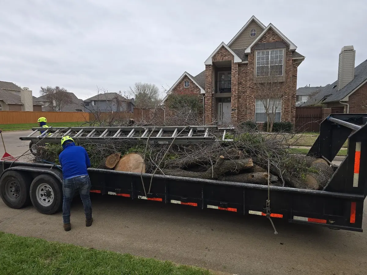 Expert Tree Removal with proper safety equipment in Lake Winola